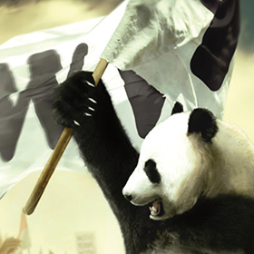Paris Climat 2015<span>Premier prix des Creative Awards<br>by Saxoprint and WWF</span>